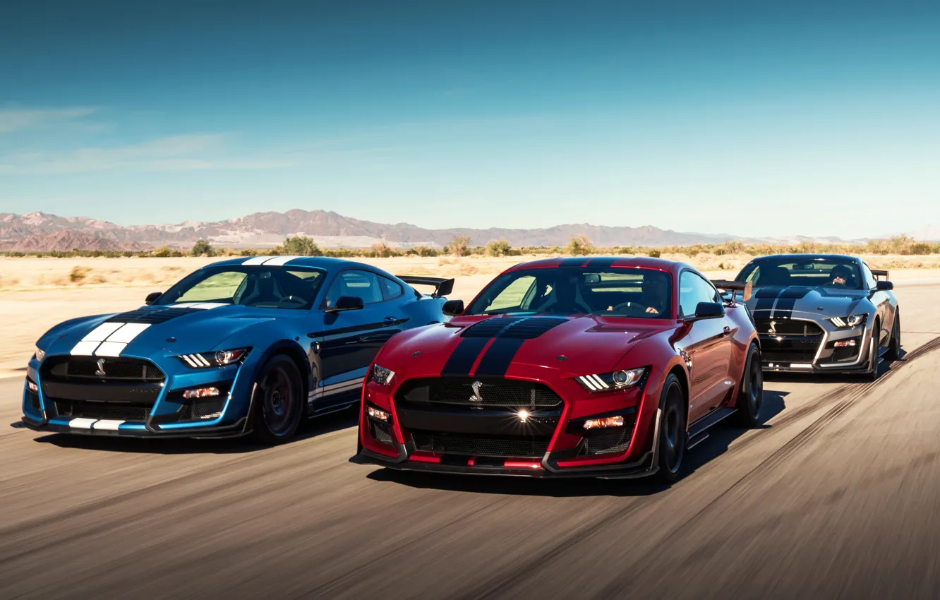 Фото обои скорость, Mustang, Ford, Shelby, GT500, 2019