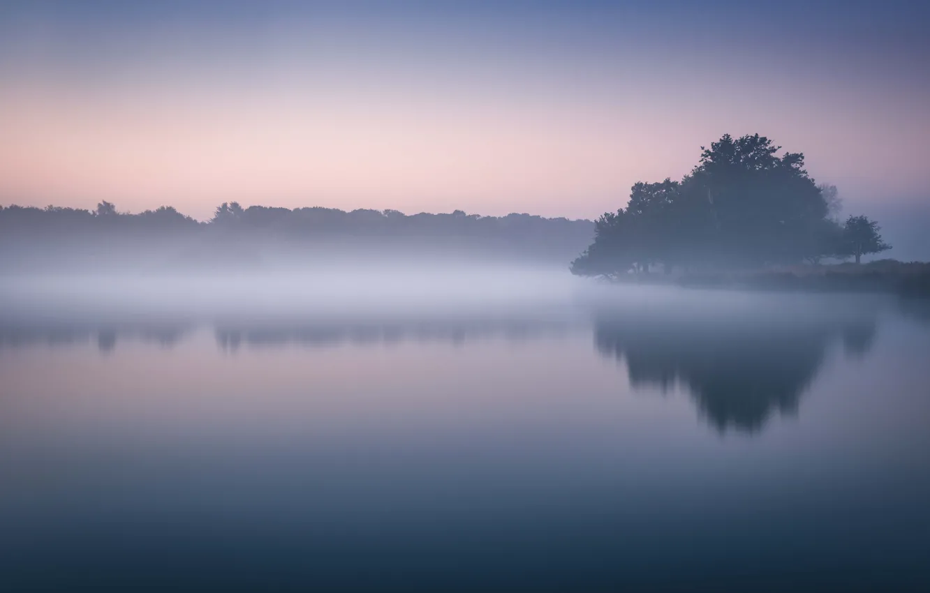 Фото обои lake, morning, fog, dawn, mist, lakeshore