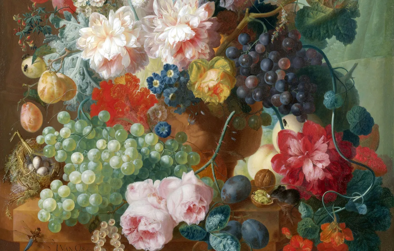 Фото обои цветы, яйца, гнездо, виноград, натюрморт, живопись, сливы, грецкий орех