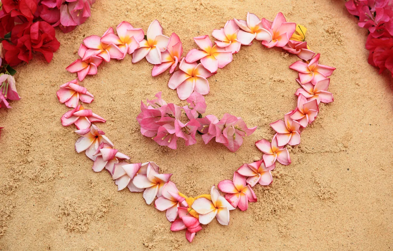 Фото обои песок, пляж, цветы, сердце, love, beach, heart, pink