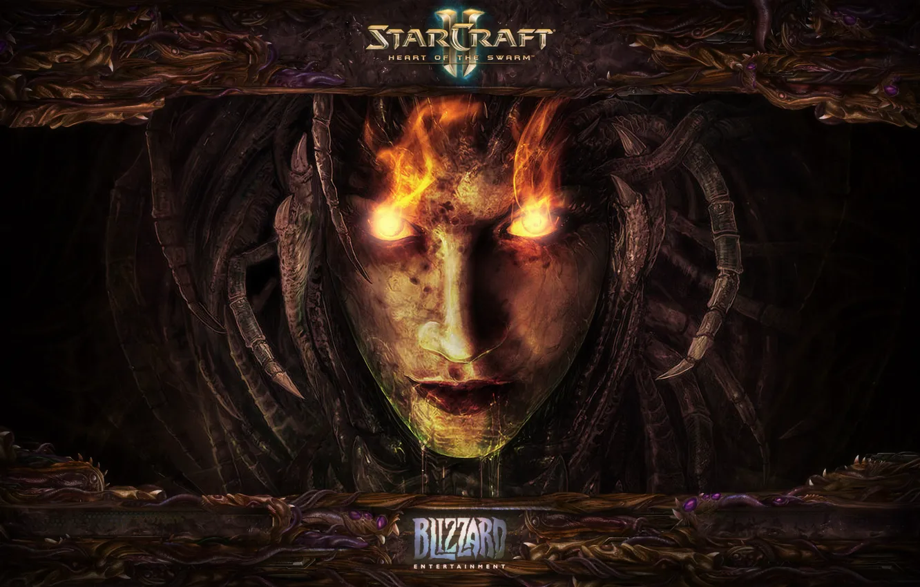 Фото обои Blizzard, Starcraft 2, Heart of The Swarm, Старкрафт