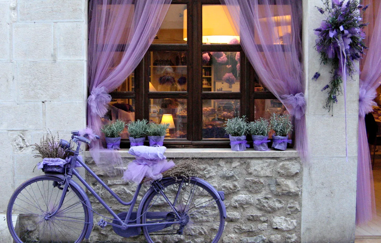 Фото обои фиолетовый, цветы, велосипед, лавандовый