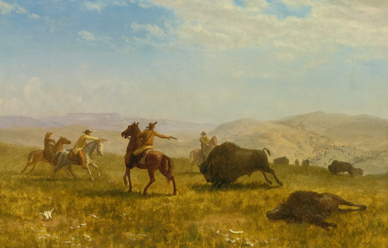 Фото обои картина, охота, ковбой, Дикий Запад, бизон, Альберт Бирштадт