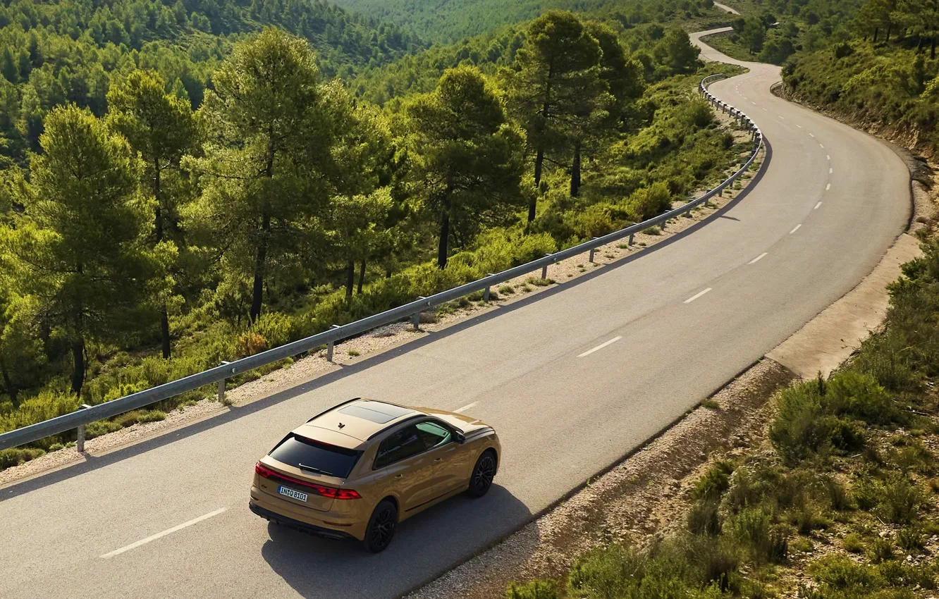 Фото обои car, Audi, road, trees, Q8, Audi Q8 2024