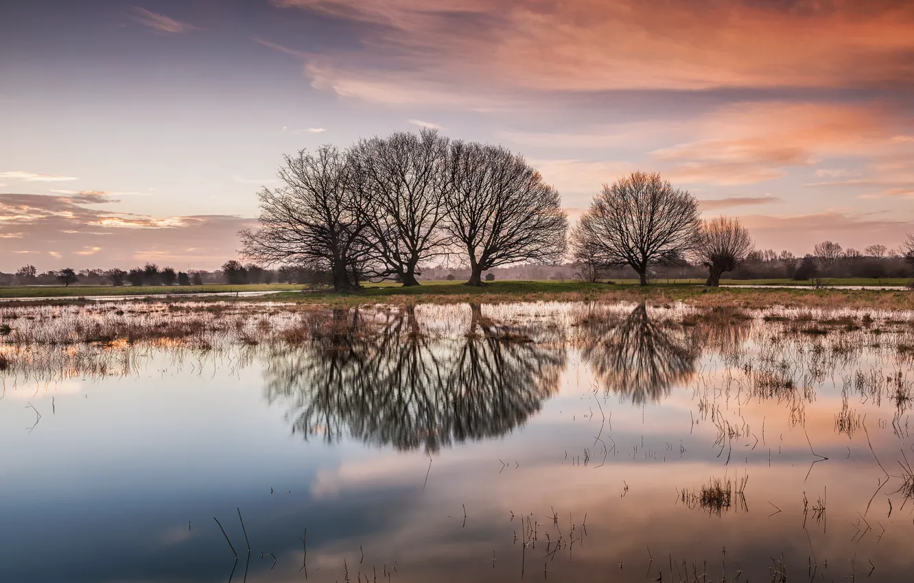 Фото обои деревья, озеро, отражение, рассвет
