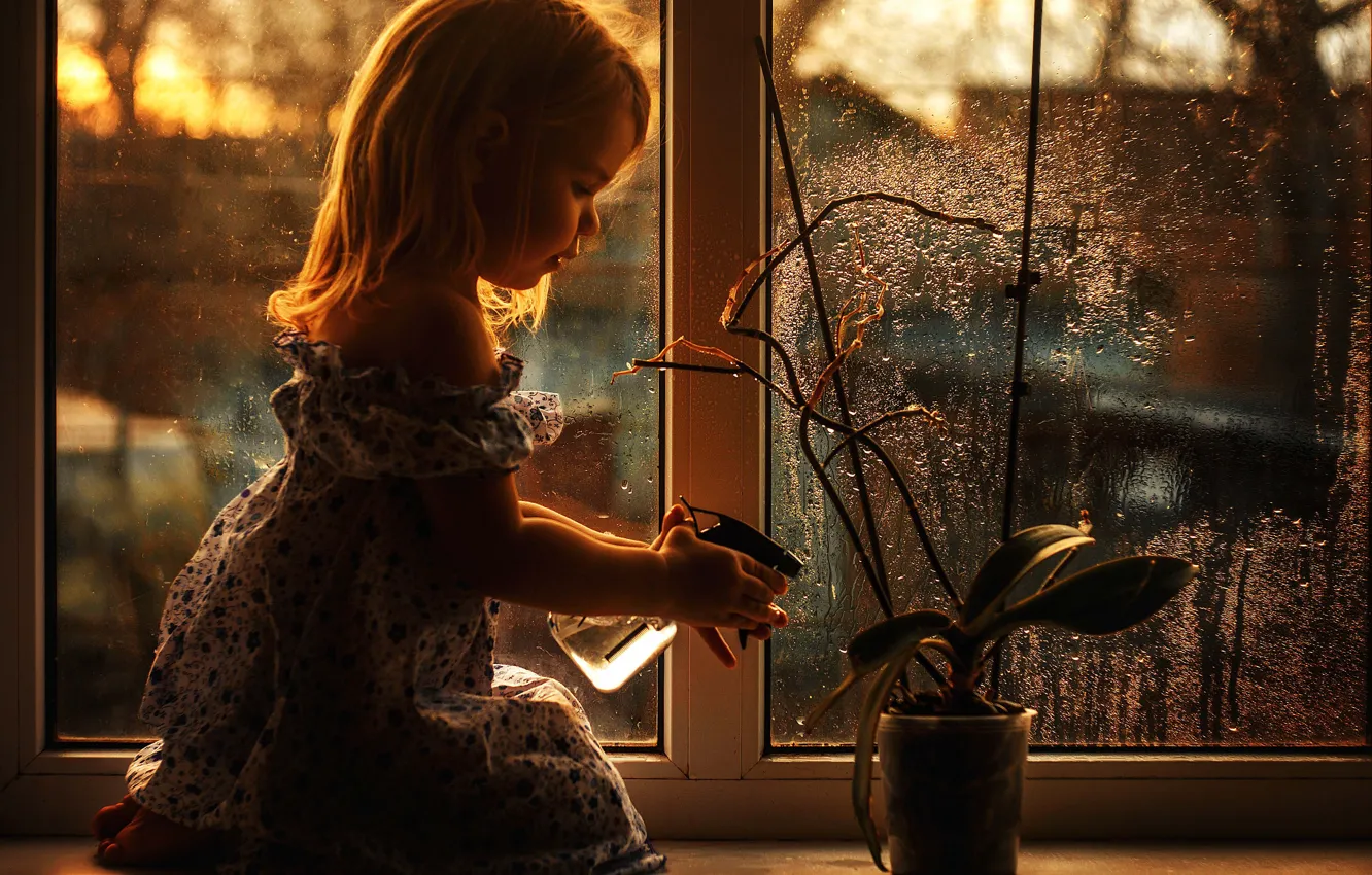 Фото обои цветок, окно, девочка, полив