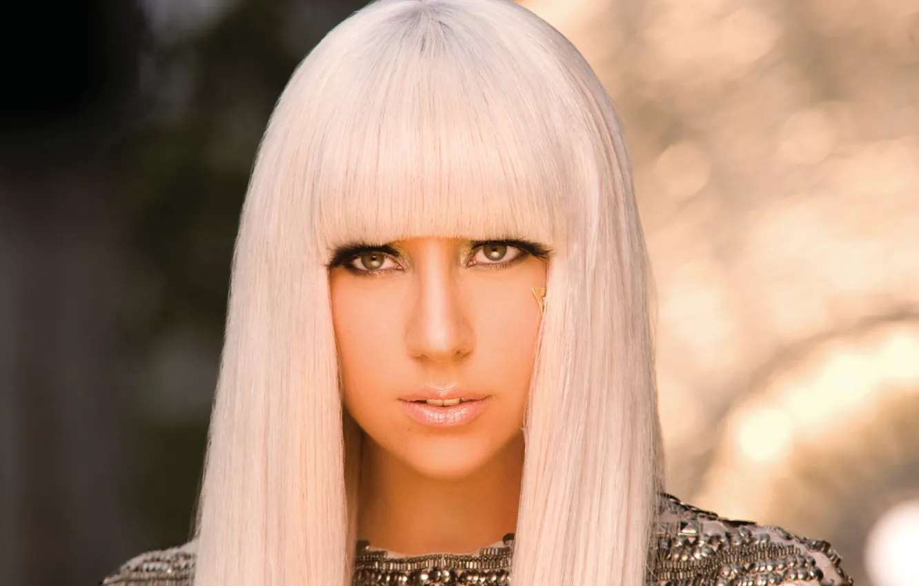Фото обои певица, lady gaga, леди гага