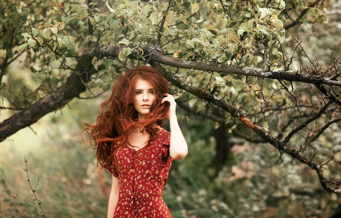 Фото обои взгляд, девушка, ветки, поза, дерево, волосы, рыжая, рыжеволосая