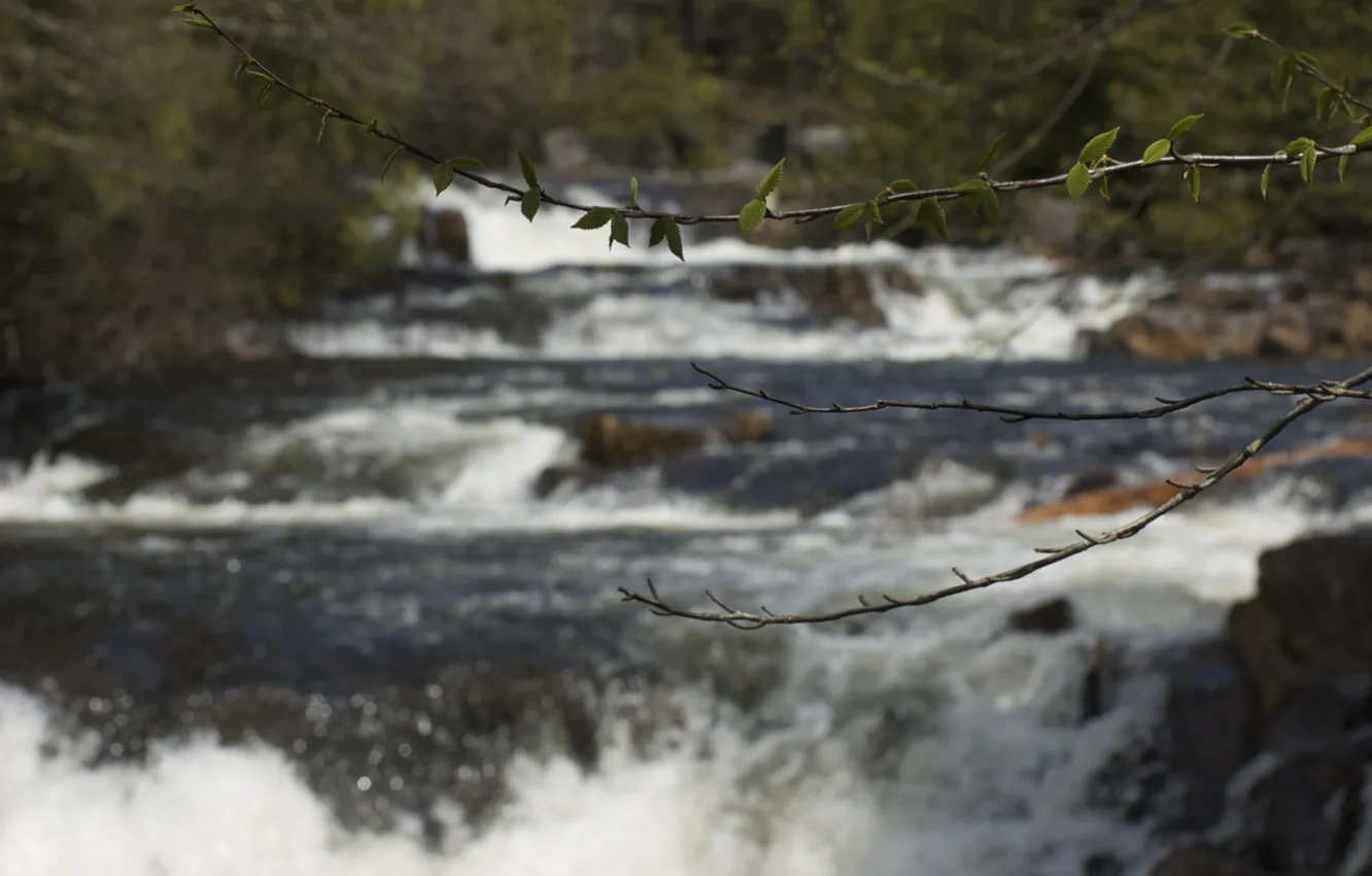 Фото обои Canada, River, Quebec, cascade, Riviere a Pierre