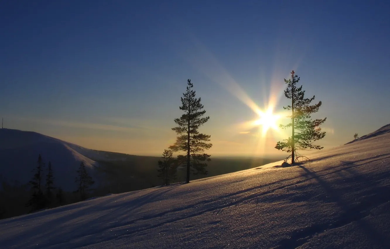Фото обои небо, солнце, деревья, Снег