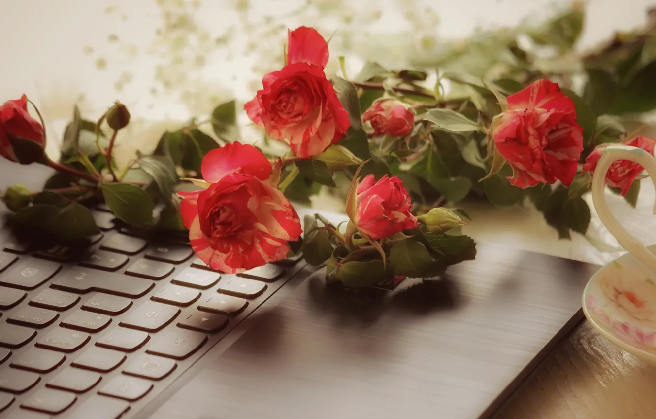 Фото обои цветы, стол, розы, букет, размытие, кнопки, чашка, красные
