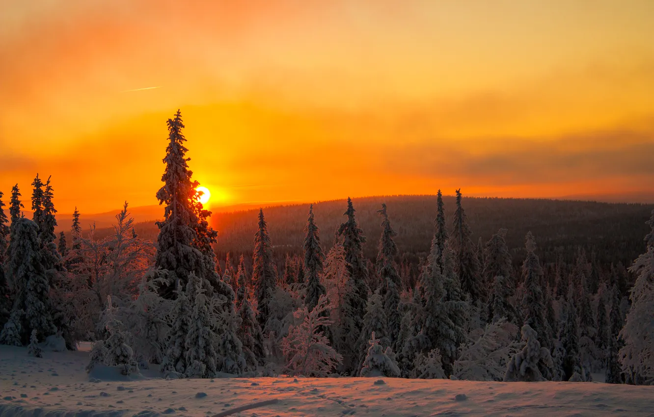 Фото обои зима, небо, облака, снег, деревья, закат, горы, Финляндия