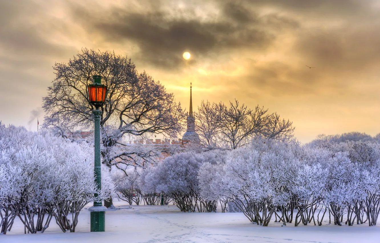 Фото обои зима, солнце, снег, деревья, город, Питер, Санкт-Петербург, фонарь