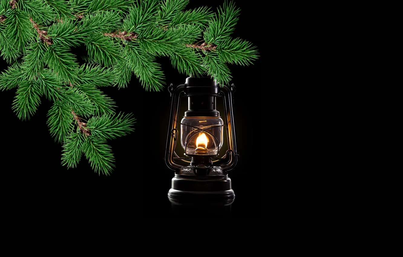Фото обои light, lantern, light and shadow, branches of pine tree
