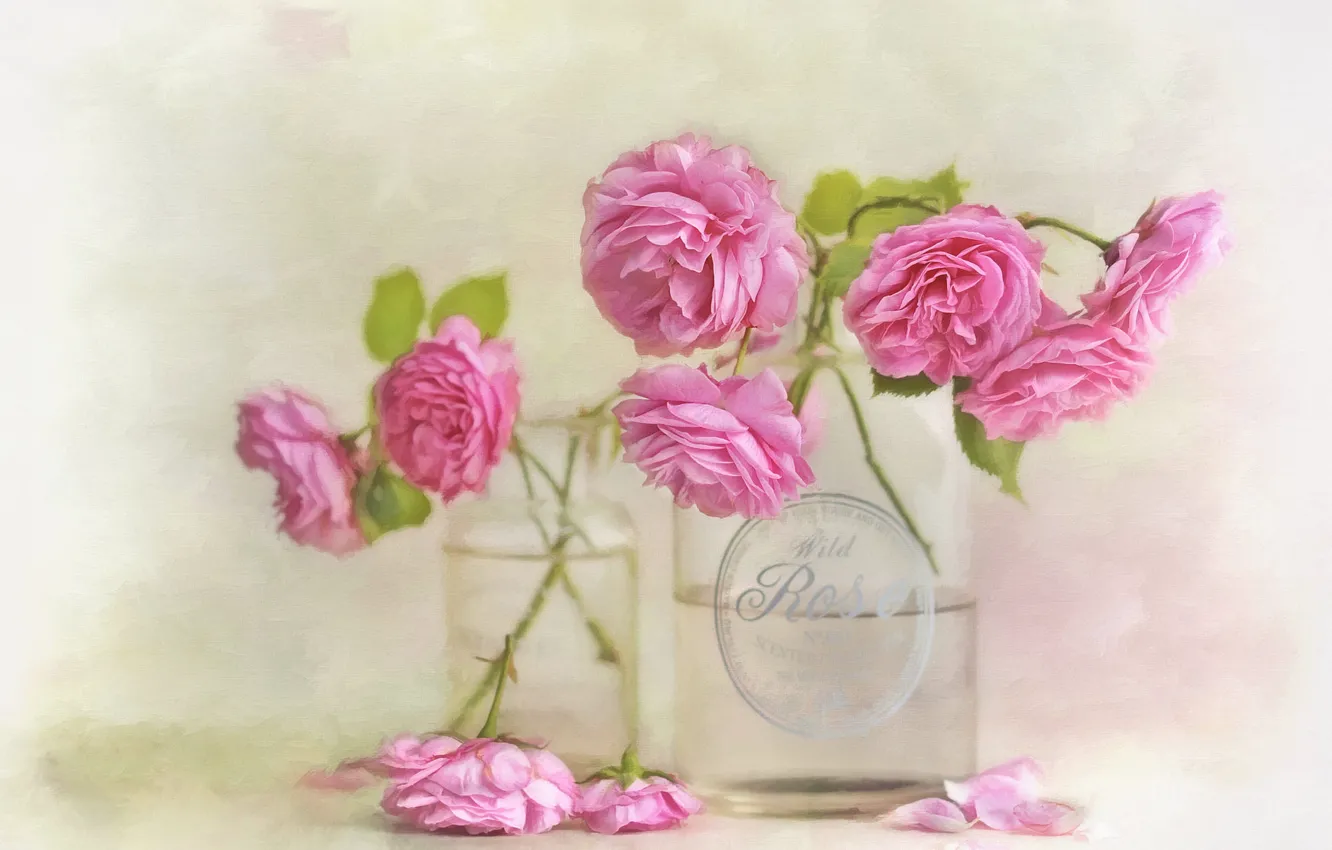Фото обои стекло, цветы, фон, розы, букет, арт, баночки, розовые