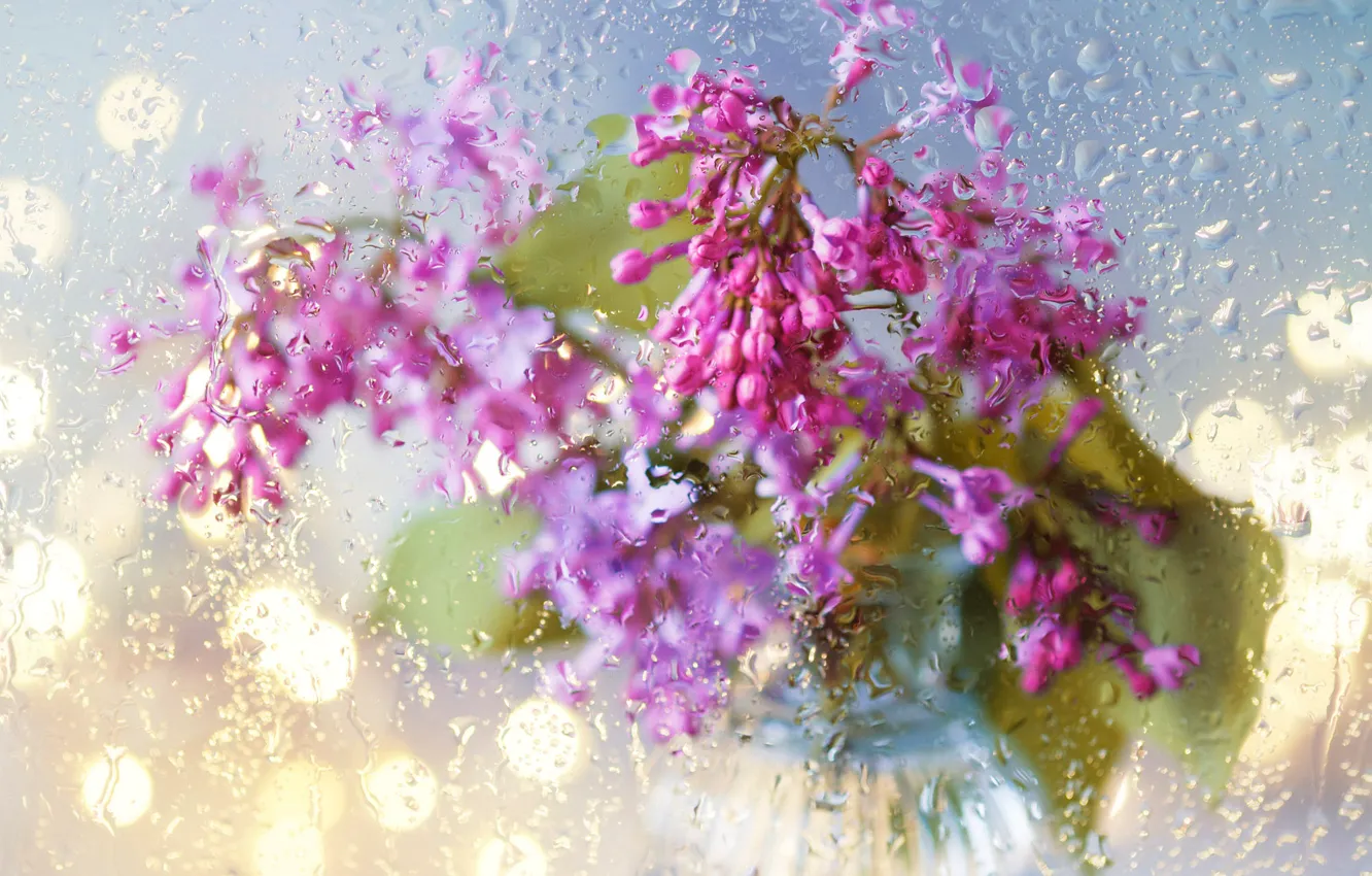 Фото обои стекло, капли, свет, цветы, дождь, букет, размытие, весна