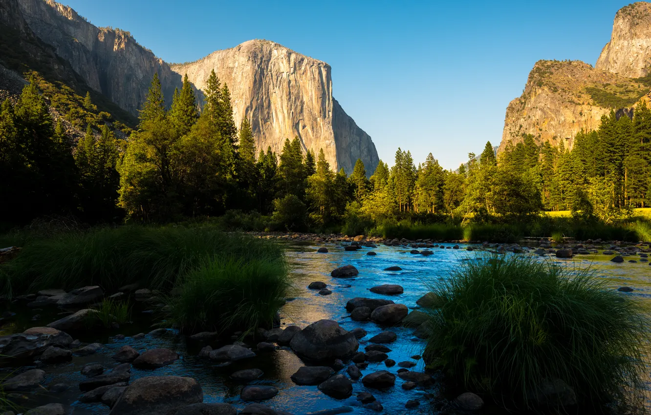 Фото обои лес, горы, река, долина, Калифорния, California, Национальный парк Йосемити, Yosemite National Park
