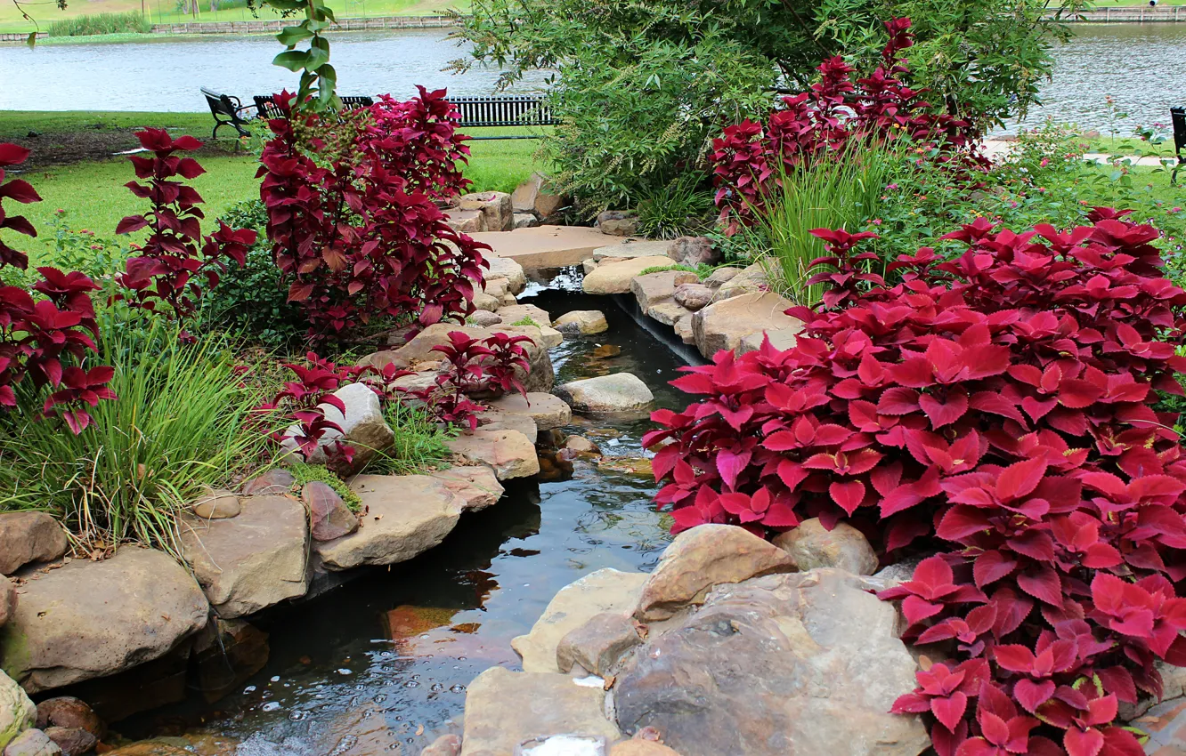 Фото обои Природа, Сад, Парк, Nature, Park, Natchitoches garden