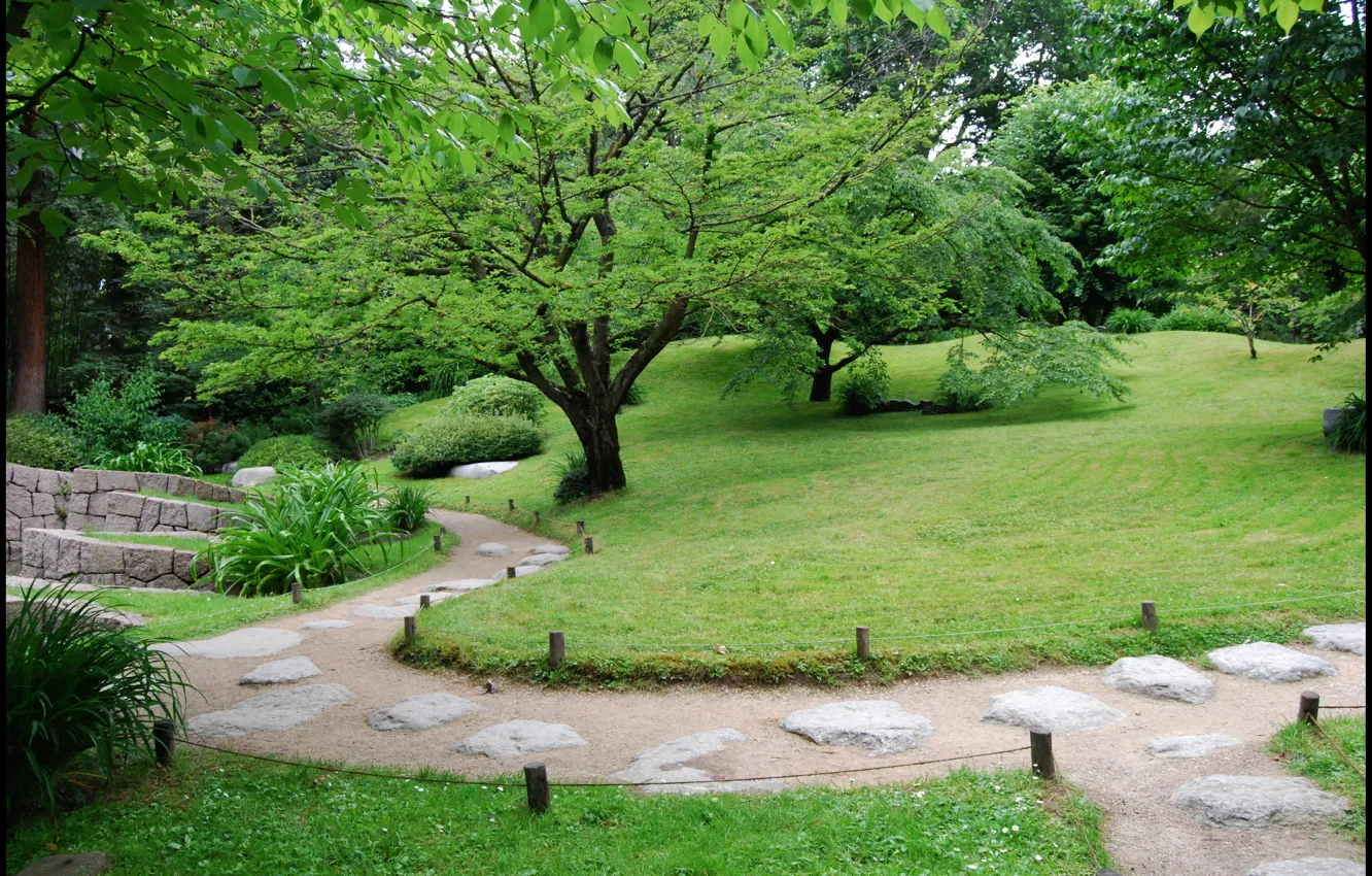 Фото обои деревья, green, Парк, кусты, garden, расстения