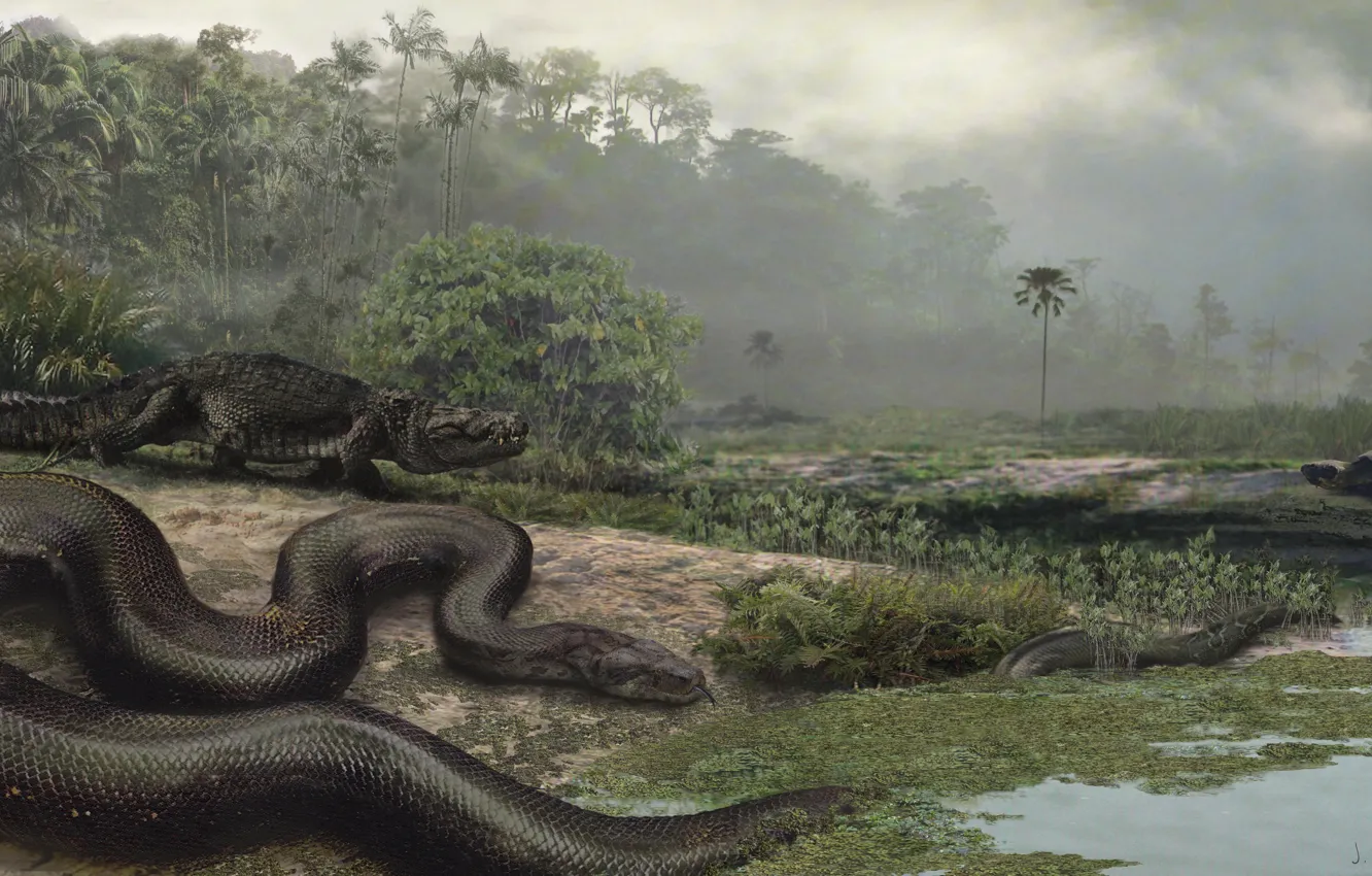 Фото обои Illustration, Titanoboa Cerrejonensis, Giant Snake, Paleocene