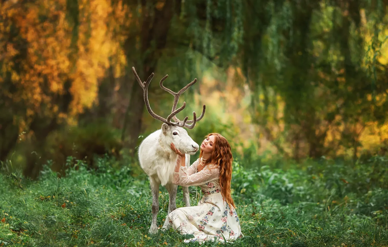 Фото обои лес, девушка, природа, животное, олень, рыжая, Анастасия Бармина