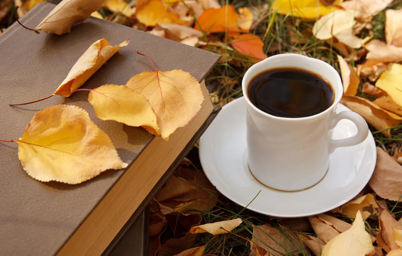 Фото обои осень, листья, кофе, чашка, autumn, leaves, book, fall