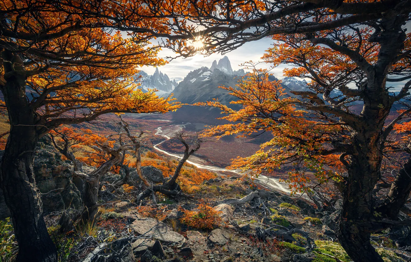 Фото обои осень, деревья, природа, beautiful, autumn, colours, Патагония, patagonia