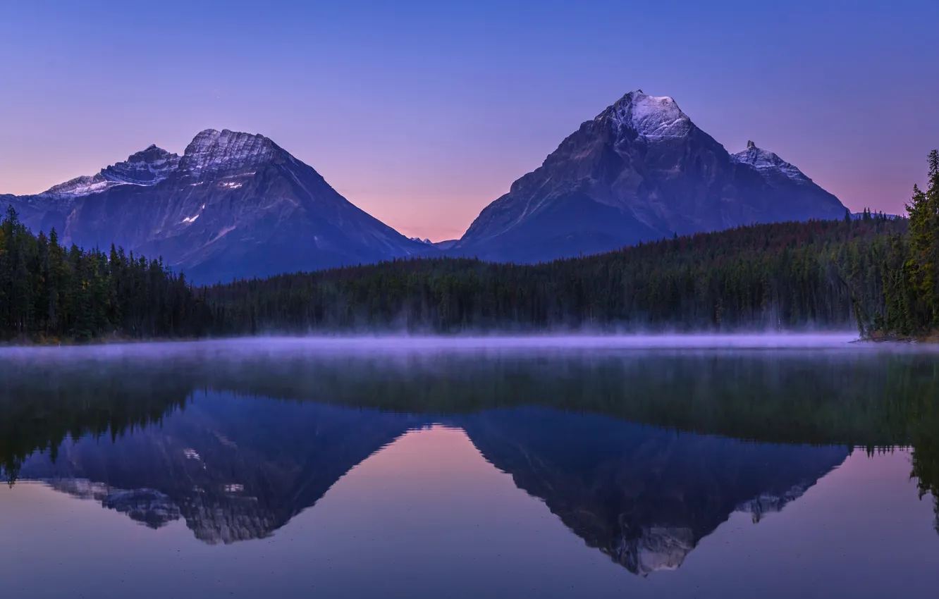 Фото обои лес, закат, горы, озеро, отражение, вершины, Канада, Альберта