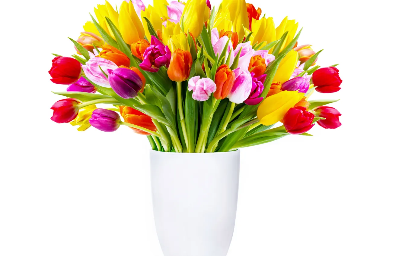 Фото обои цветы, букет, тюльпаны, ваза, разноцветные, белый фон