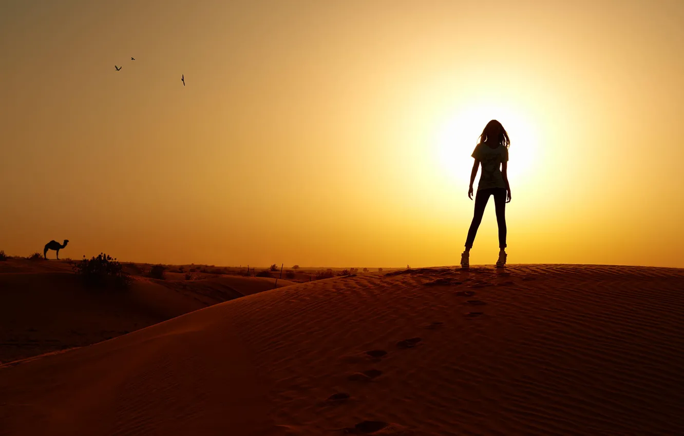 Фото обои девушка, закат, барханы, пустыня, стройная, силуэт, верблюд, photographer