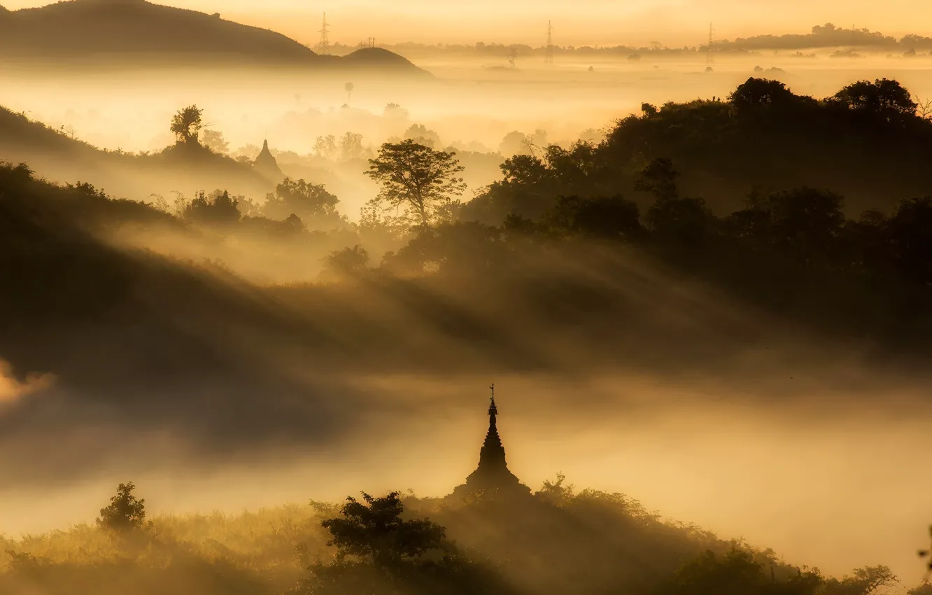 Фото обои лес, рассвет, пагода, Мьянма