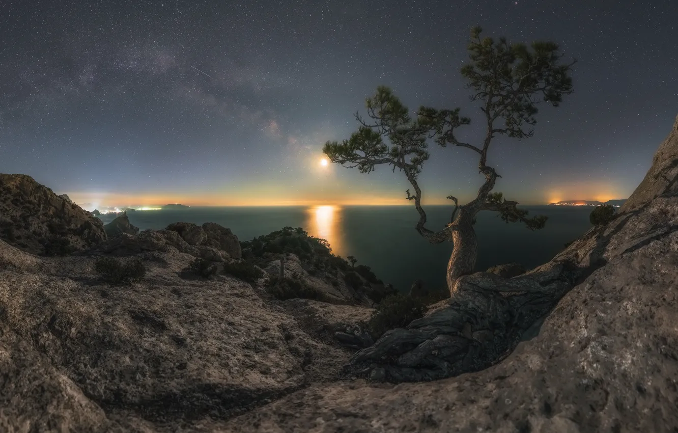 Фото обои море, пейзаж, горы, ночь, природа, дерево, скалы, луна