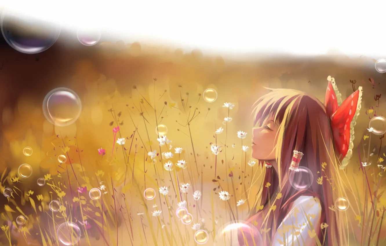 Фото обои поле, трава, девушка, пузырьки, арт, профиль, touhou, hakurei reimu