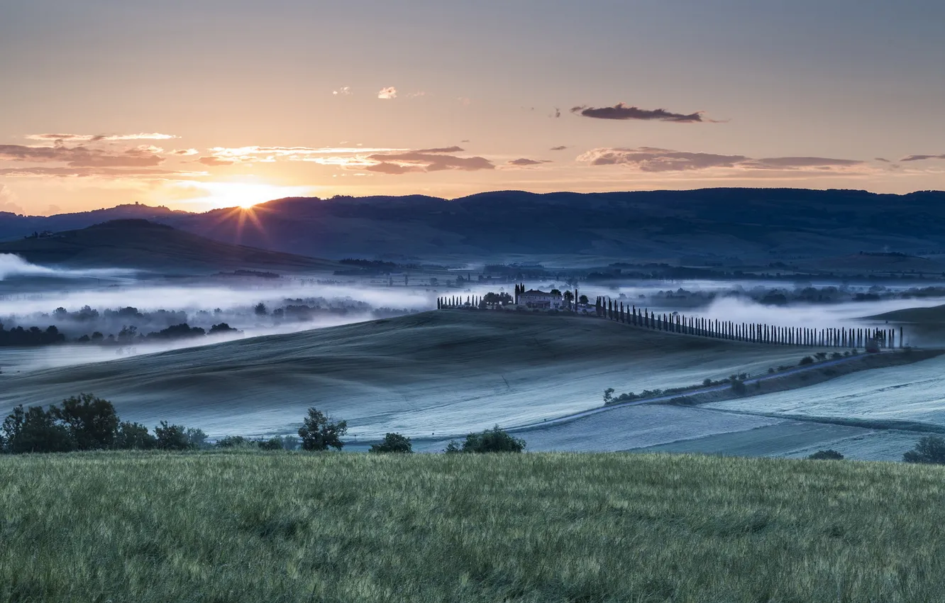 Фото обои поле, пейзаж, туман, Tuscany Morning