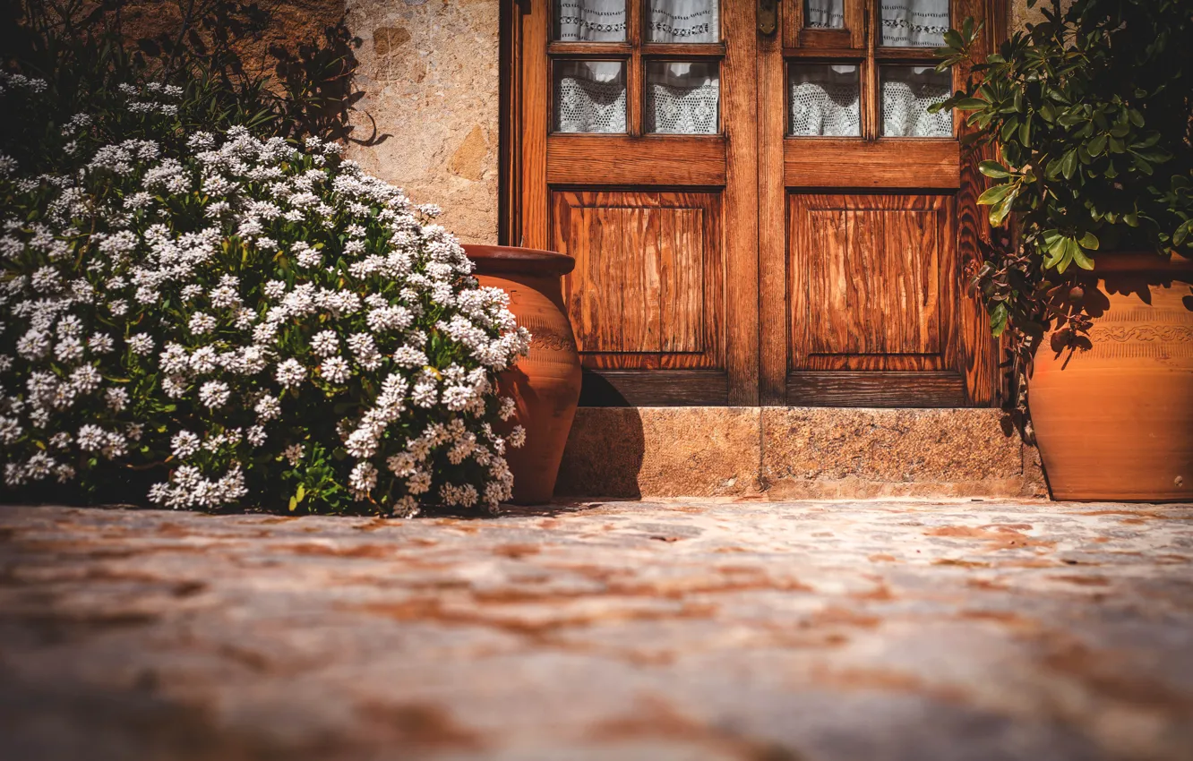 Фото обои jars, house, door