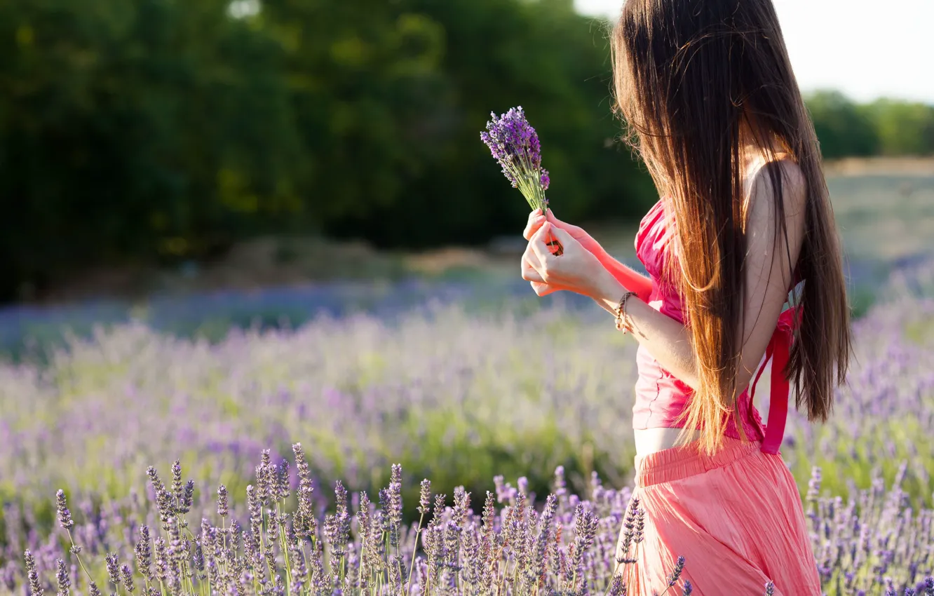 Фото обои поле, фиолетовый, листья, девушка, деревья, цветы, природа, фон