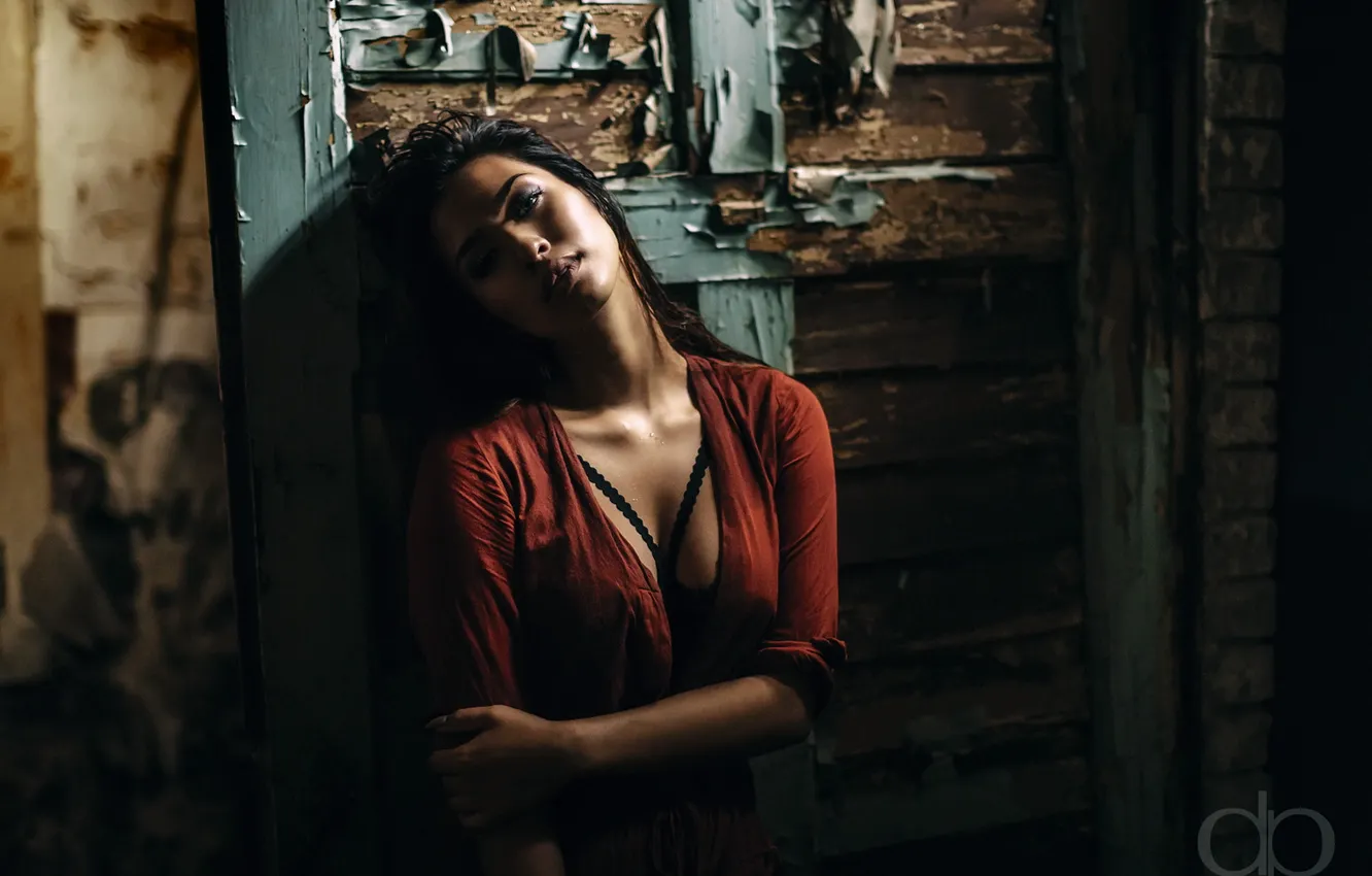 Фото обои взгляд, девушка, портрет