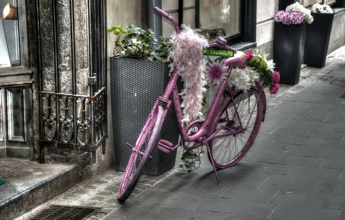 Фото обои велосипед, дом, улица