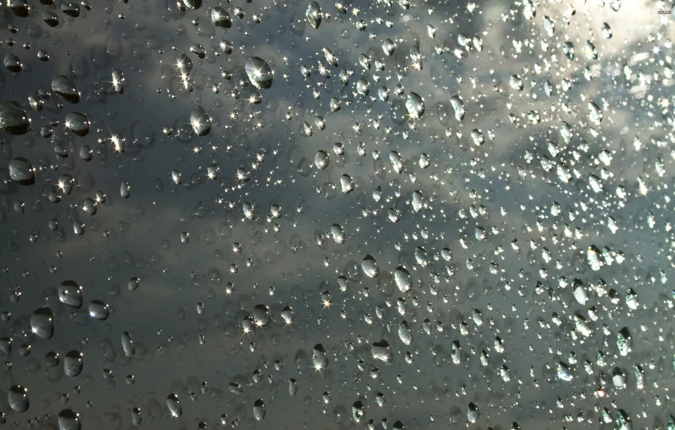 Фото обои вода, капли, поверхность, свет, после дождя