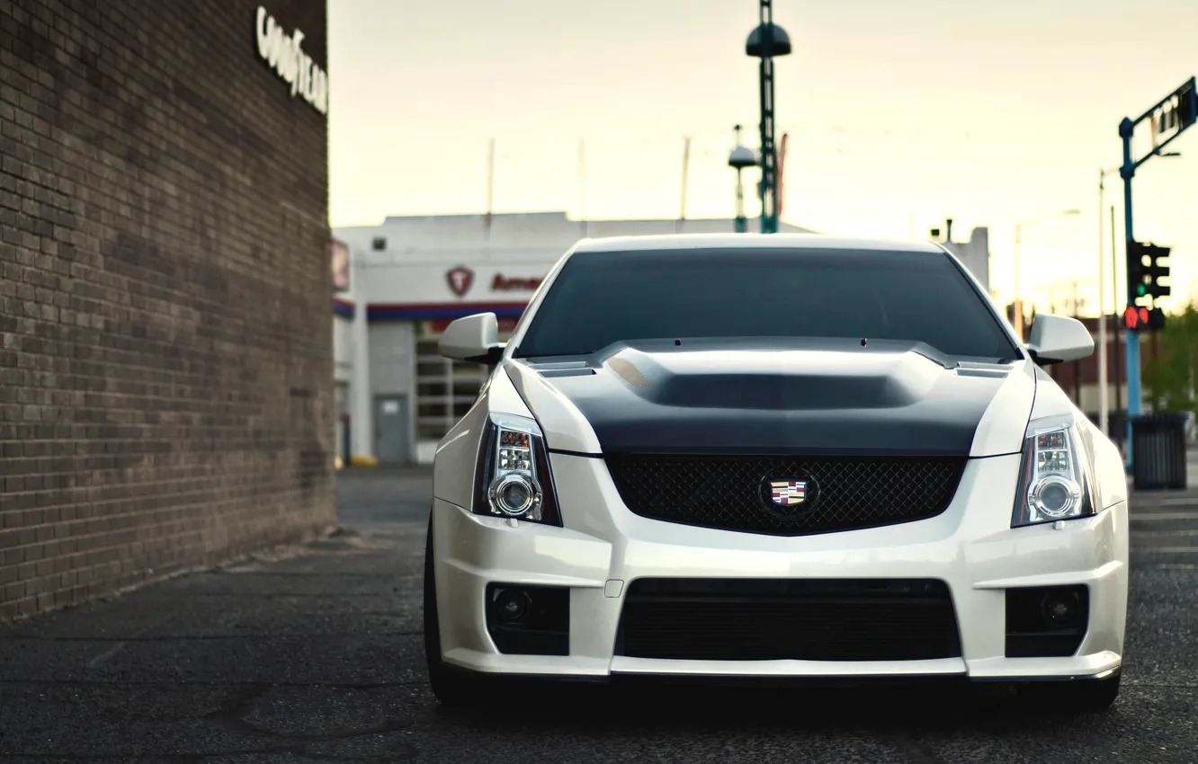 Фото обои Cadillac, перед, white, CTS-V, front, кадиллак. белый