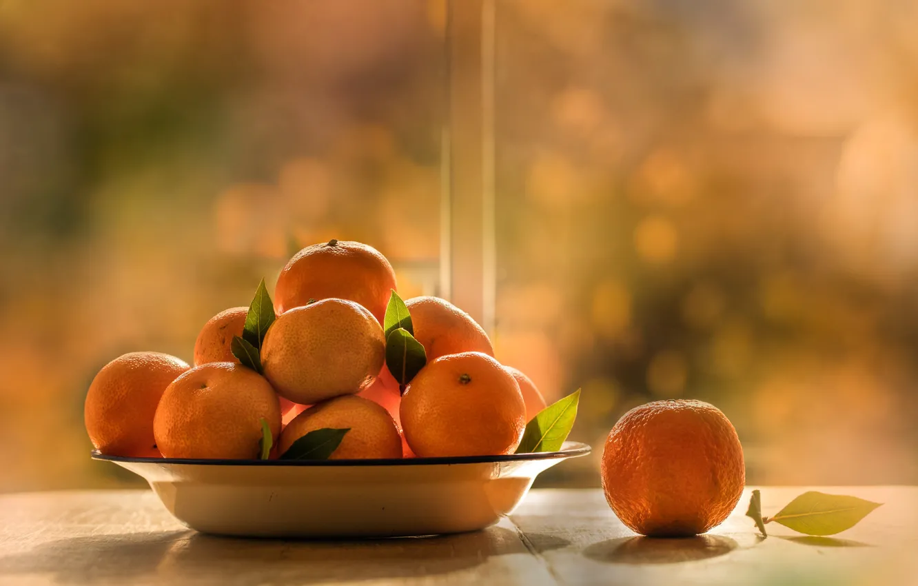 Фото обои свет, стол, еда, фрукты, боке, мандарины