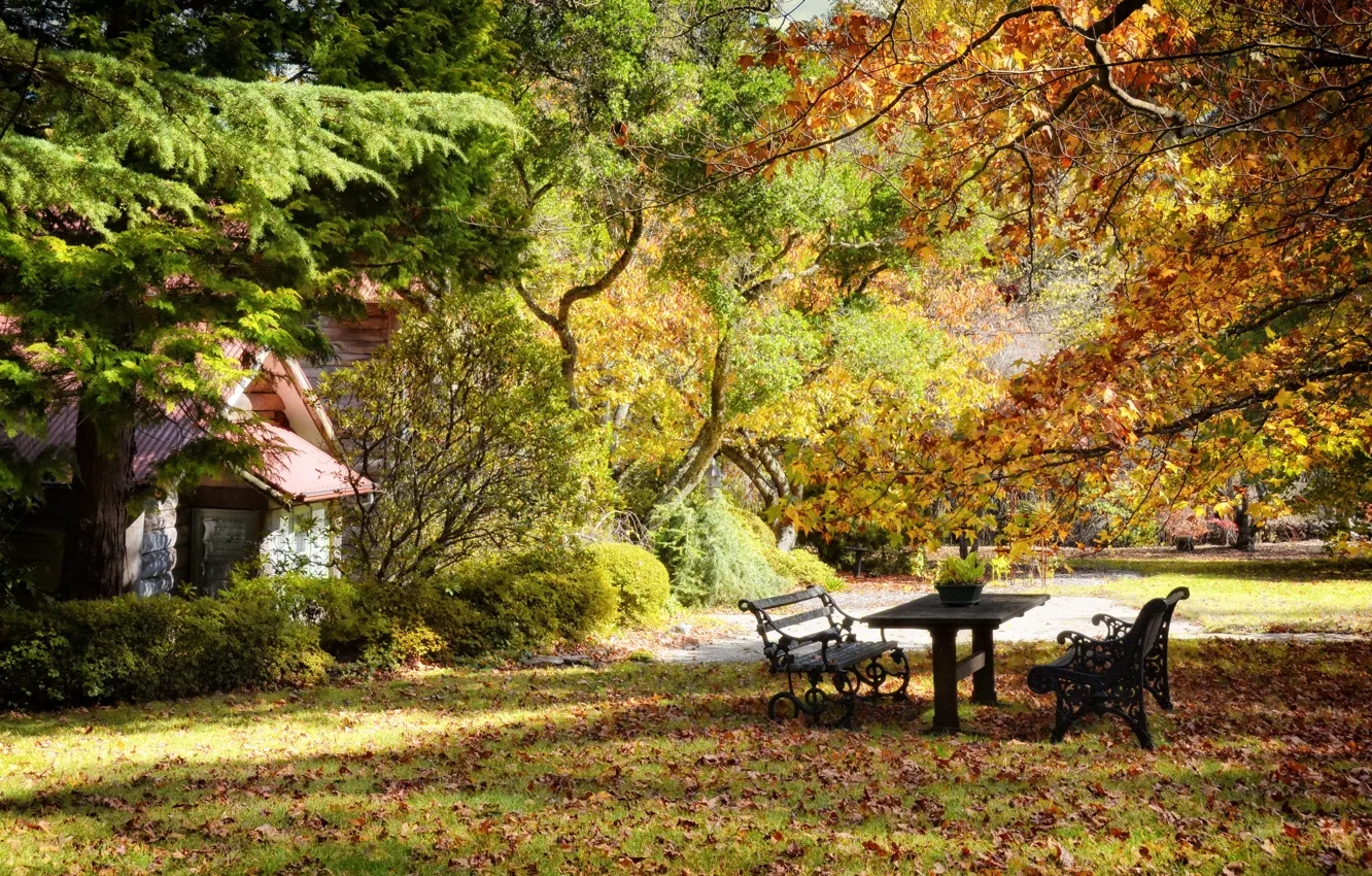Фото обои осень, деревья, парк, стол, листва, скамейки