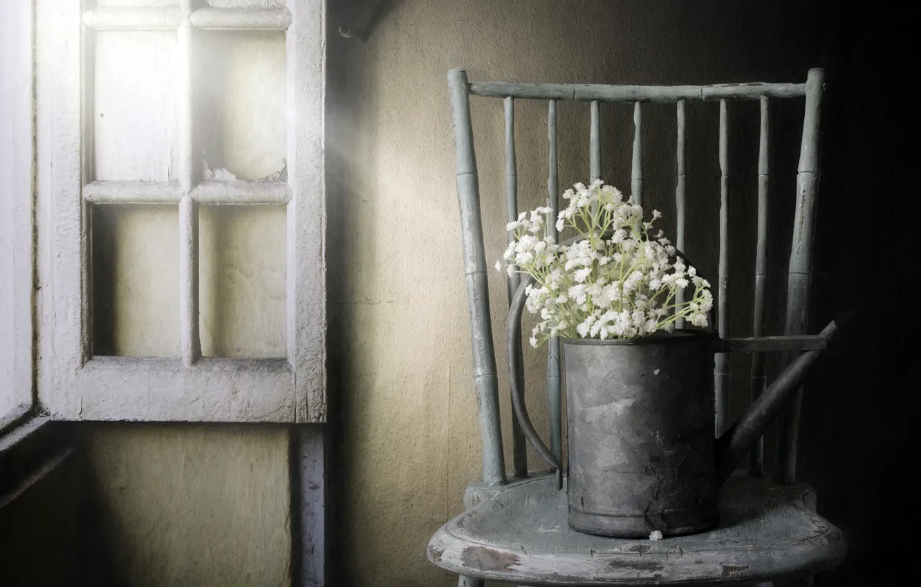 Фото обои цветы, окно, стул