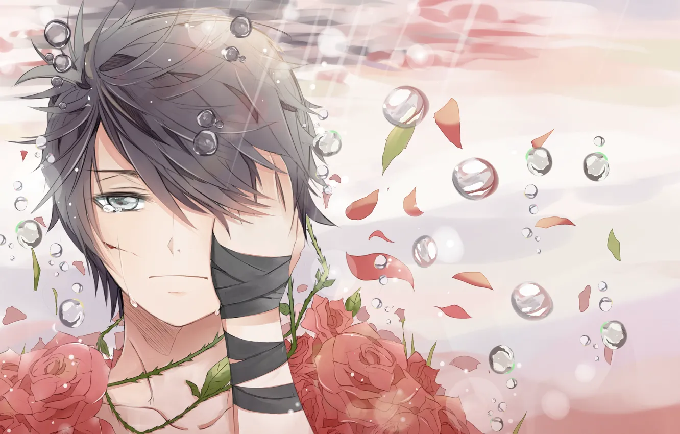 Фото обои капли, розы, слезы, арт, лента, парень, рана, teichi