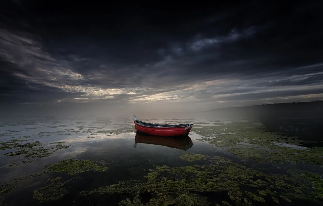 Фото обои ночь, туман, озеро, лодка