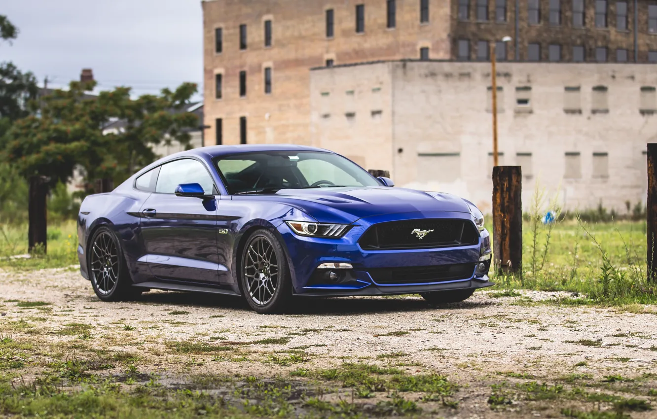 Фото обои Mustang, Ford, Ford Mustang, Форд Мустанг, Мускул Кар