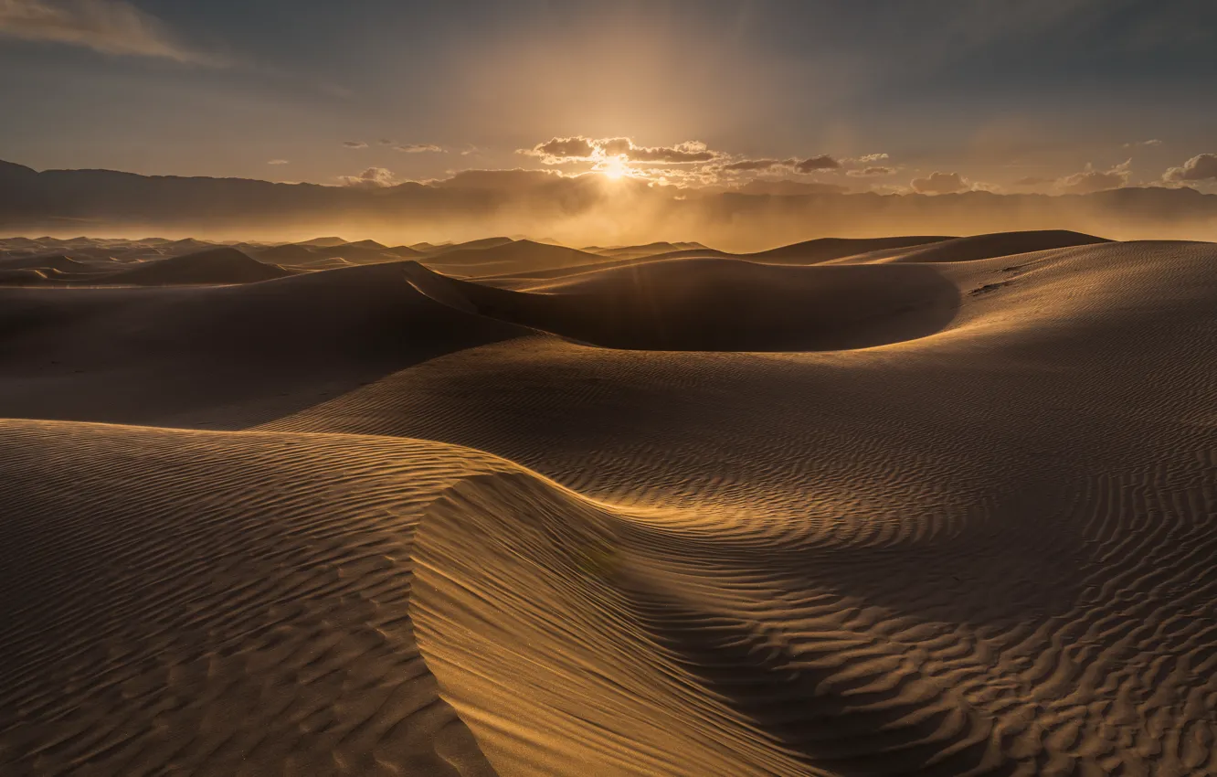 Фото обои песок, солнце, пустыня, дюны, пески, рельеф