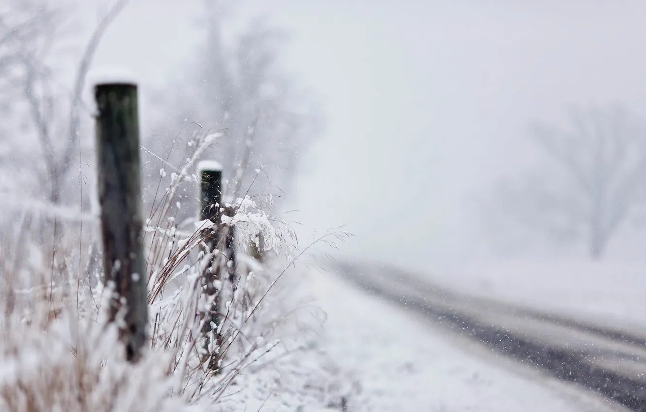 Фото обои дорога, трава, макро, снег, забор