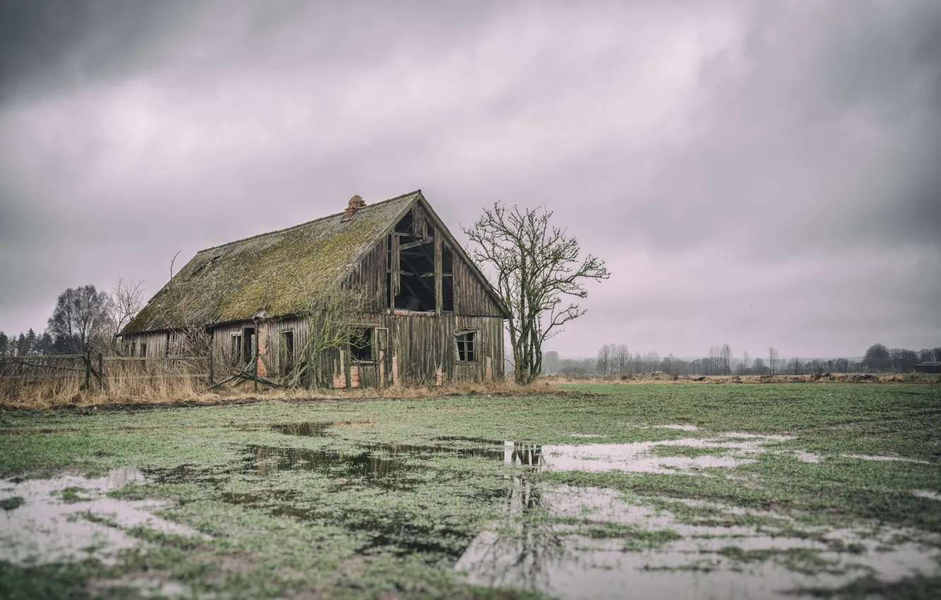 Фото обои поле, природа, дома