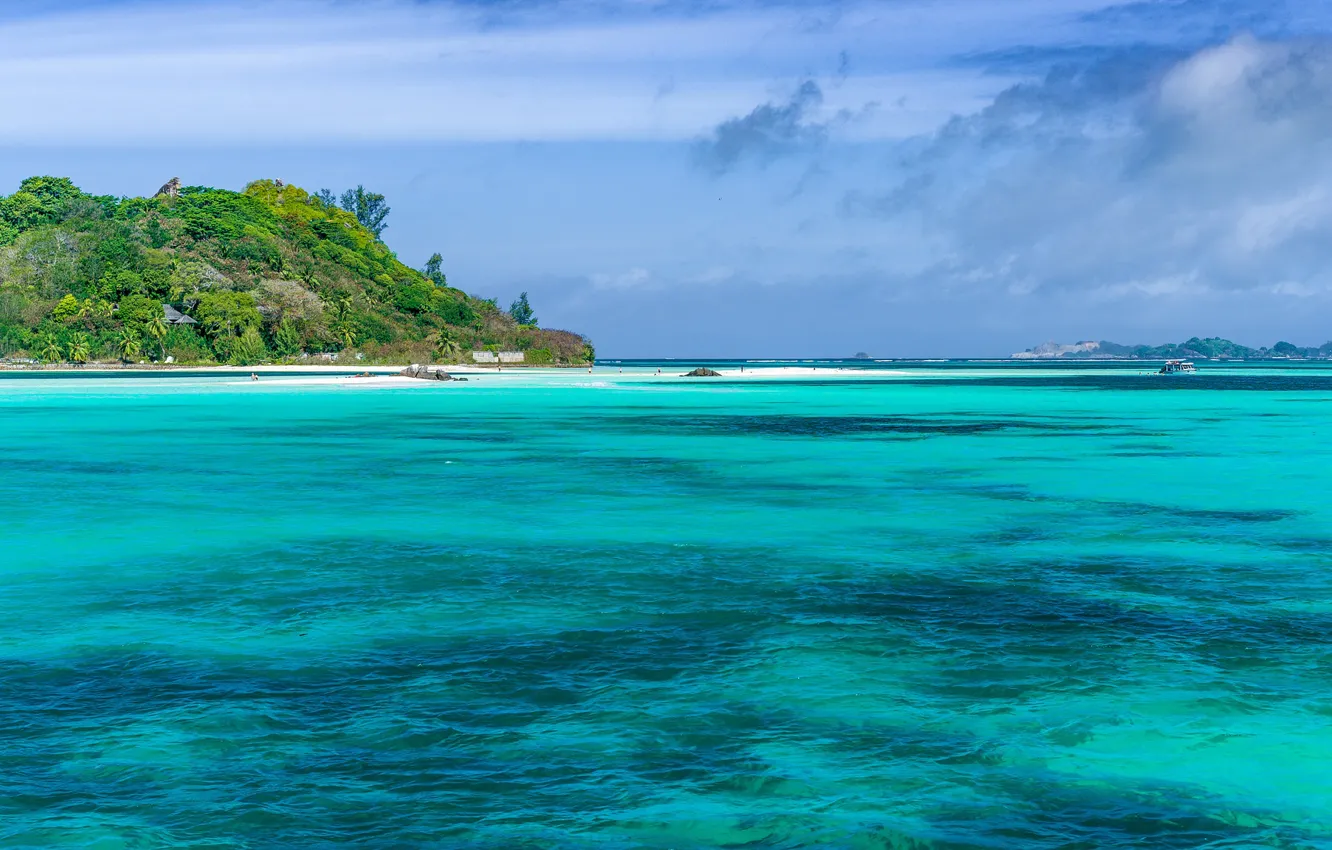 Фото обои пляж, природа, тропики, пальмы, голубое море